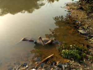 Corpse on the osun river
