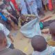 3 Feared Dead As Suspected Cultists Clash At Osun Osogbo Grove