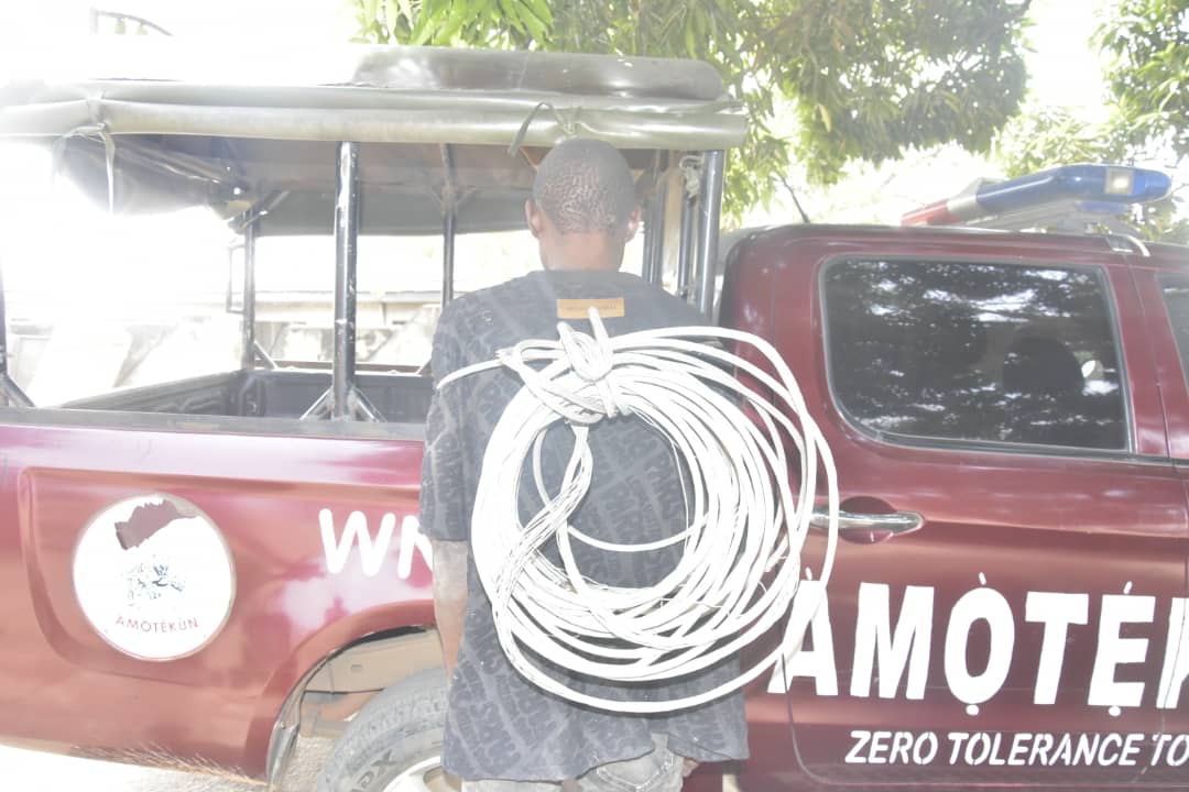 Amotekun Nabs Suspected Cable Thief In Osun