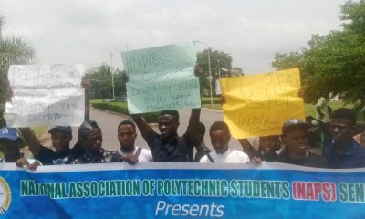 Osun: Poly Students Protest HND/BSc Dichotomy, Urge Tinubu To Assent Bill