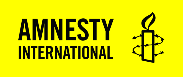 1,336, Killed, 29,554 Displaced In Plateau Within 3-Month – Amnesty International