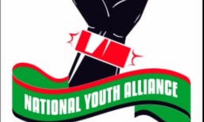 2027 Polls: National Youth Alliance Appoints Interim Executive Committee