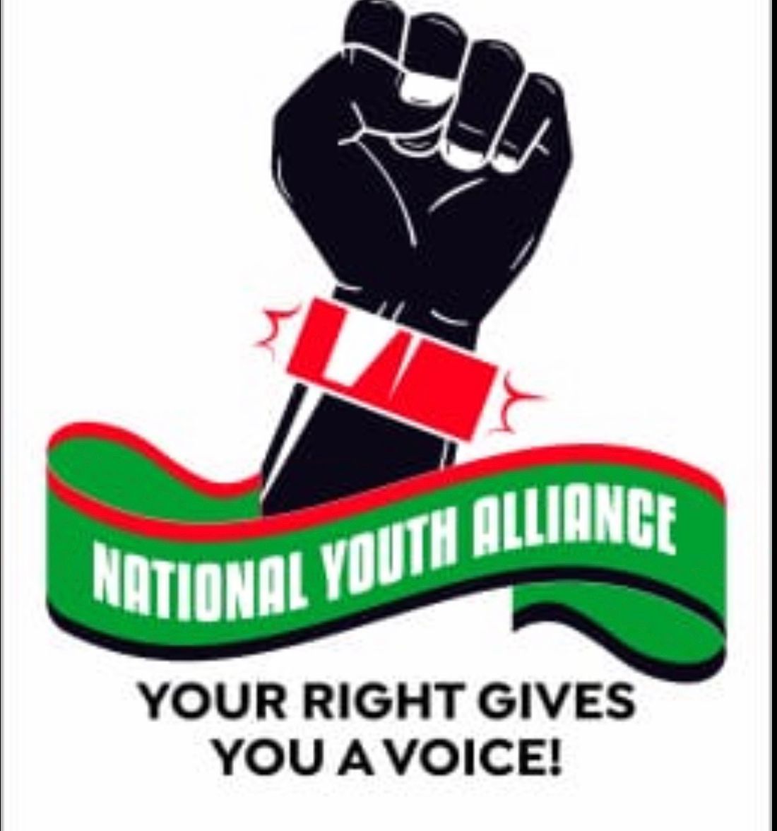 2027 Polls: National Youth Alliance Appoints Interim Executive Committee