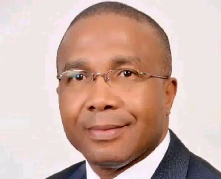 Renewed Hope Agenda : Dr. Emeka Agbasi: A Beacon Of Hope For Nigeria's Highway Infrastructure