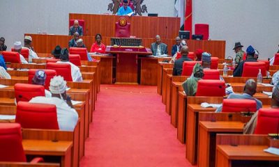 Breaking: Senate Committee Confirms Agama As SEC DG