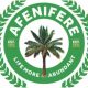 Arrest Promoters Of ‘Igbo Must Go’, Afenifere Tells Police