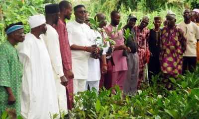 Persons With Disabilities Have Always Been Good Farmers In Osun- SA Disability Matters