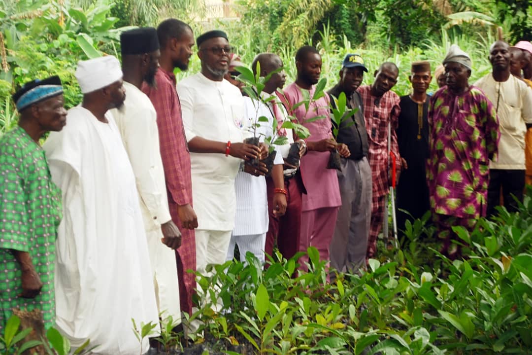 Persons With Disabilities Have Always Been Good Farmers In Osun- SA Disability Matters