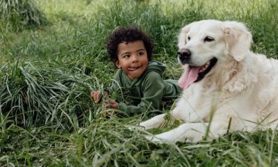 Growing Up With A Dog Can Boost Gut Health –Study