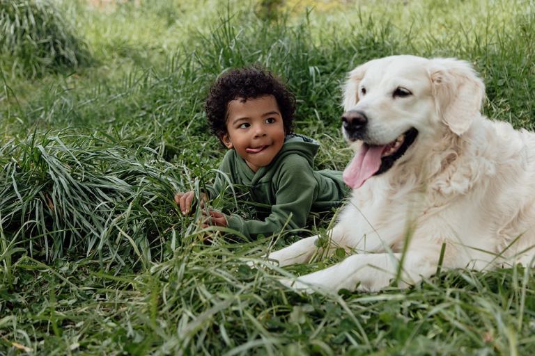 Growing Up With A Dog Can Boost Gut Health –Study