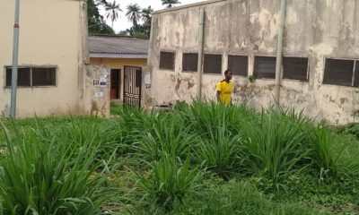 “We Don’t Feel Safe” — OAU ETF Hall Residents Cry Out Over Growing Bush Inside Hostel