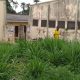“We Don’t Feel Safe” — OAU ETF Hall Residents Cry Out Over Growing Bush Inside Hostel
