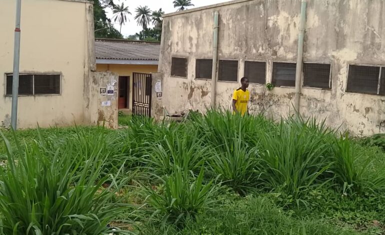 “We Don’t Feel Safe” — OAU ETF Hall Residents Cry Out Over Growing Bush Inside Hostel