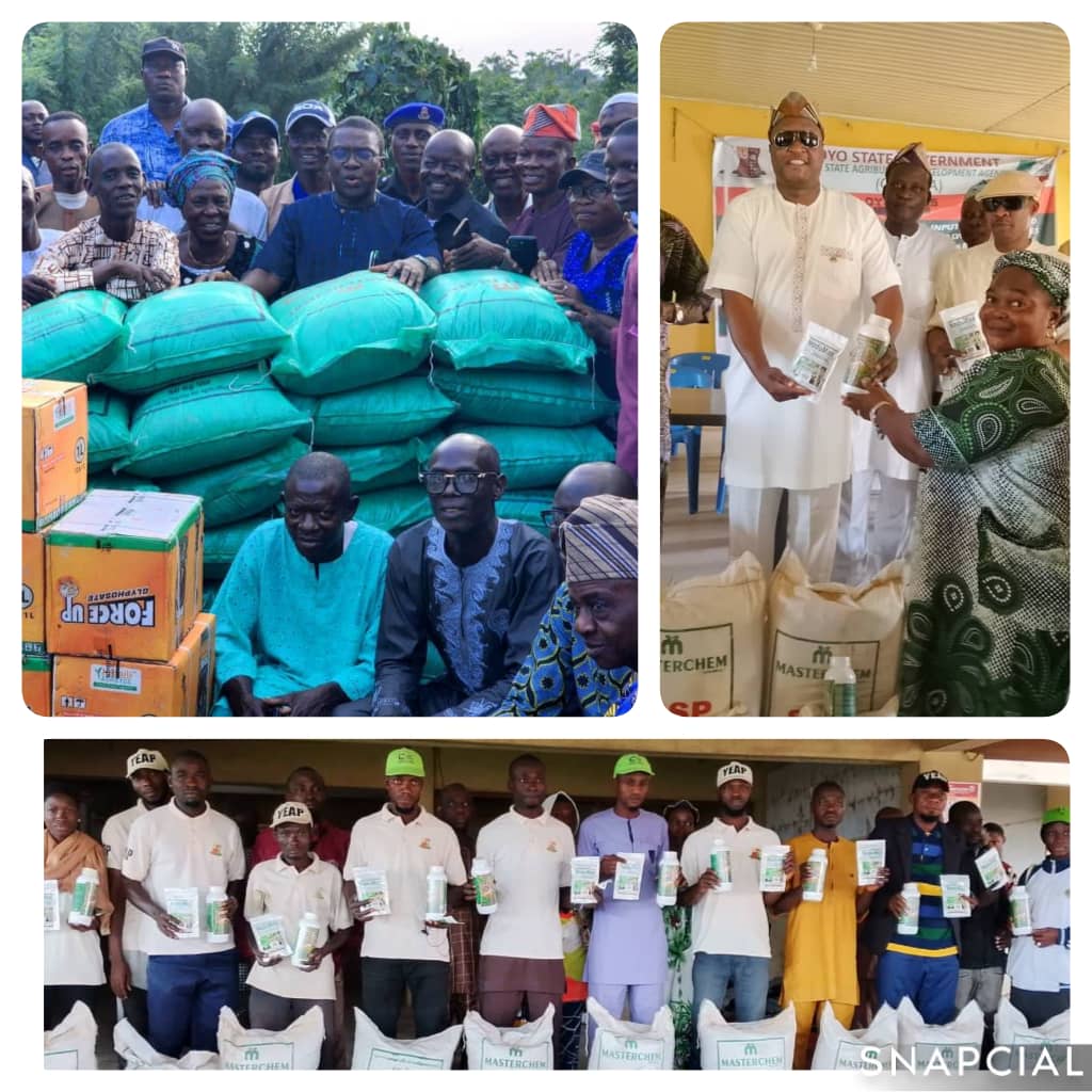 OYSADA Continues N-Cares Farm Inputs Distribution, As YEAP Members, Farmers In Oyo East, West, Surulere, Ogooluwa, Other LGAs Benefit