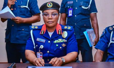 Ogun NSCDC Arrests Over 50 Vandals Of Critical National Assets In 11 Months