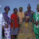 Olubadan-designate Ladoja To Teach At Alma Mater After Coronation