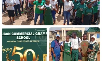 A Crisis In Our Alma Mater: A Call To Action For Osun State Government, By Akinola Afolabi