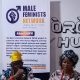 Osun: Male Feminist Network Launched to Tackle Gender-Based Violence