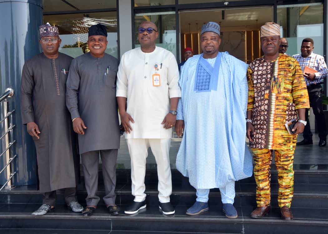 National Assembly Intensifies Bill to Curb Rising Cases of Energy Theft