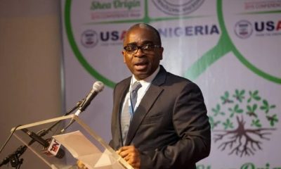 BREAKING: Segun Awolowo Is Dead