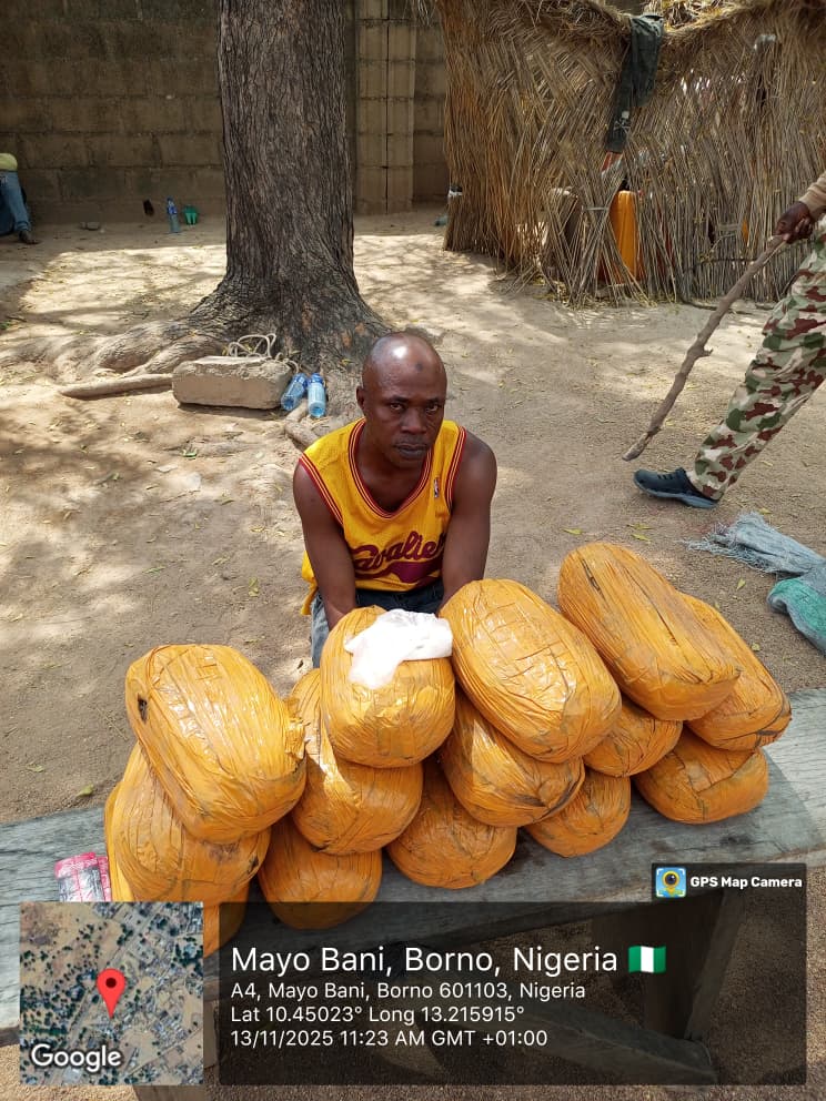Troops Arrest Boko Haram Drug Supplier In Adamawa, Borno
