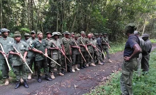 FG Graduates Over 7,000 Forest Guards For Immediate Deployment