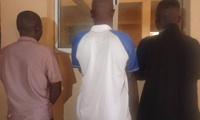 Amotekun Nabs three suspects Over Alleged Theft Of 97 Goats