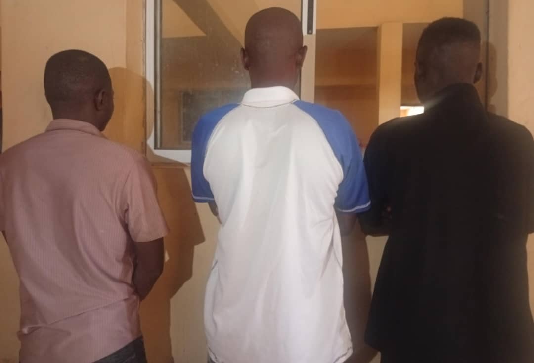 Amotekun Nabs three suspects Over Alleged Theft Of 97 Goats