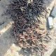 PICTORIAL: Troops Recover 12.7mm Ammunition In Borno Drainage