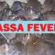 Lassa Fever Kills 4 In Nasarawa; Govt Shuts General Hospital