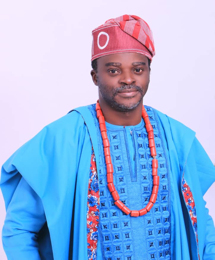 Harvard University-trained public health professional, Olugbile Declares for house of Rep bid