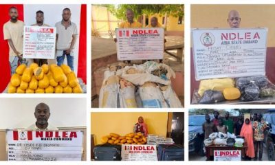NDLEA Arrests 93-year-Old Great Grandpa, Medical Doctor For Skunk, Cocaine, Trafficking