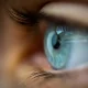 Seafood Virus Linked To Emerging Human Eye Disease –Study