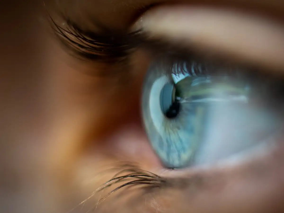 Seafood Virus Linked To Emerging Human Eye Disease –Study