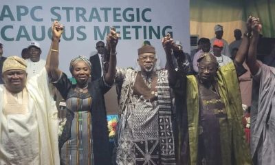 2027: Ogun APC Unveils Yayi’s Running Mate