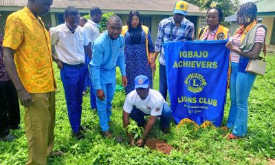 Igbajo Achievers Lions Club Plants Fruit Trees In Schools