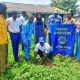 Igbajo Achievers Lions Club Plants Fruit Trees In Schools