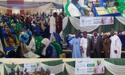 Nigeria Needs Greater Accountability in Resource Management — Osogbo ICAN Chairman