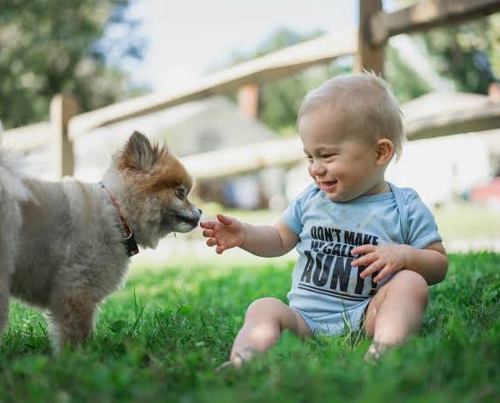 Early Dog Exposure May Shield Babies From Infections –Study