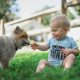 Early Dog Exposure May Shield Babies From Infections –Study