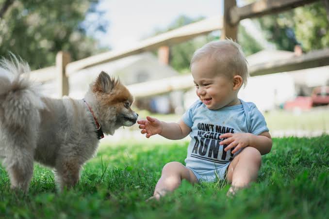 Early Dog Exposure May Shield Babies From Infections –Study