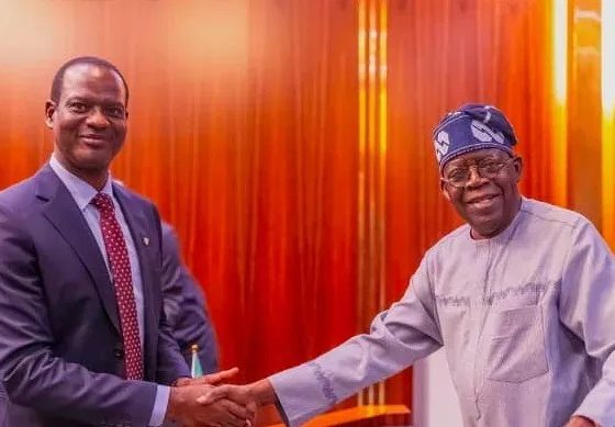 Tinubu Orders Forensic Audit of IPPIS, Federal Agencies Over Ghost Workers, Fraud