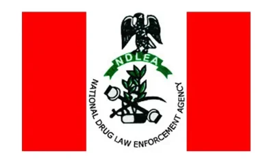 NDLEA Arrests 101-Year-Old Woman Over Sale Of Illicit Drugs