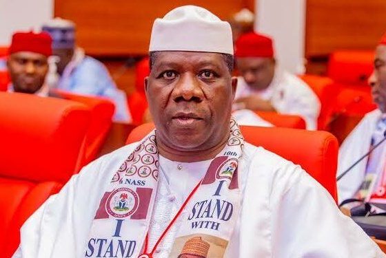 Osun Poll: Accept Defeat, Congratulate Adeleke, Bamidele Tells Oyebamiji