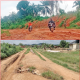 Abandoned Osun federal road project: Communities count losses, farmers groan