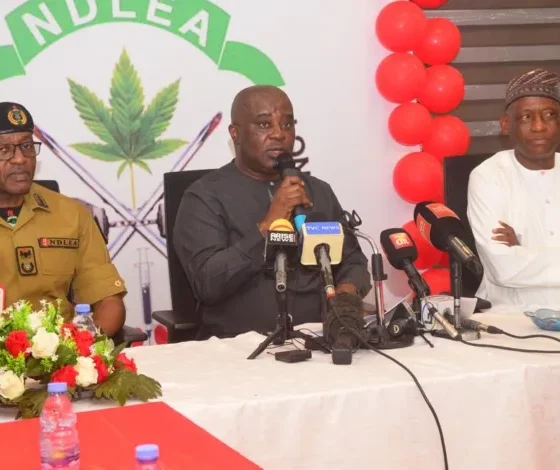 NDLEA Arrests Mexican Suspect, Dismantles Meth Lab in Ebonyi