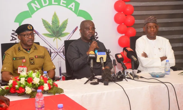 NDLEA Arrests Mexican Suspect, Dismantles Meth Lab in Ebonyi
