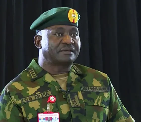 Sambisa Forest Size Makes Rescue Operations Difficult — Defence Minister