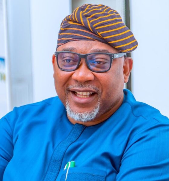 Akindele And The Turnaround Of Osun Public Healthcare Deliveries By Olajide Adeniyi