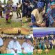 Imesi-Ile Drum Festival Rekindles Yoruba Heritage, As Community Celebrates Culture